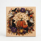 Studio collection image