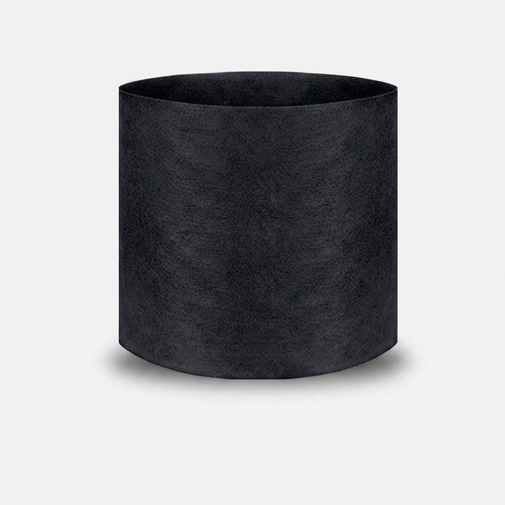 Studio collection image