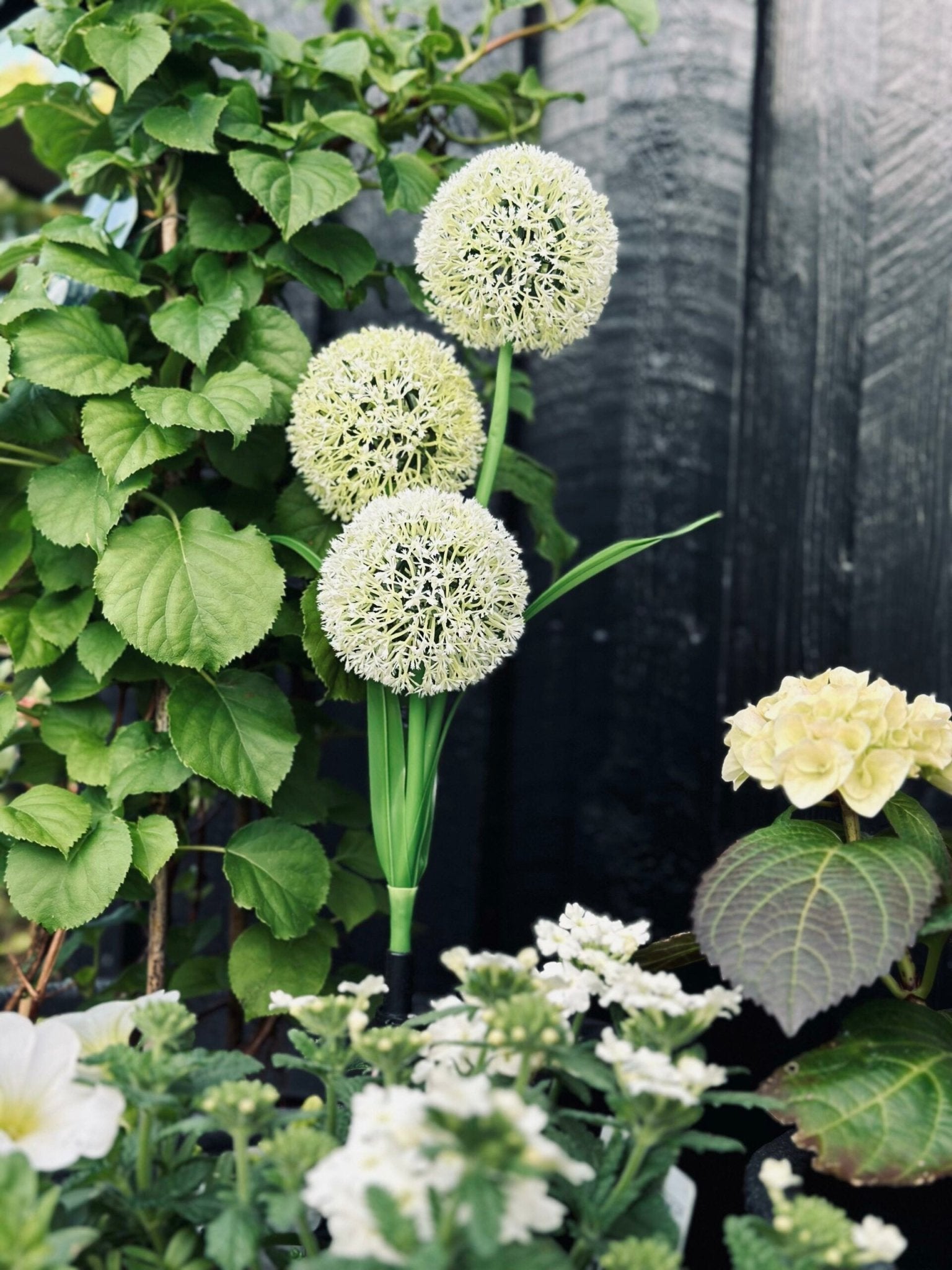 Solar-Gartenstecker Blüte mit 3 Blütenkugeln