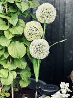 Solar garden stake flower with 3 flower balls