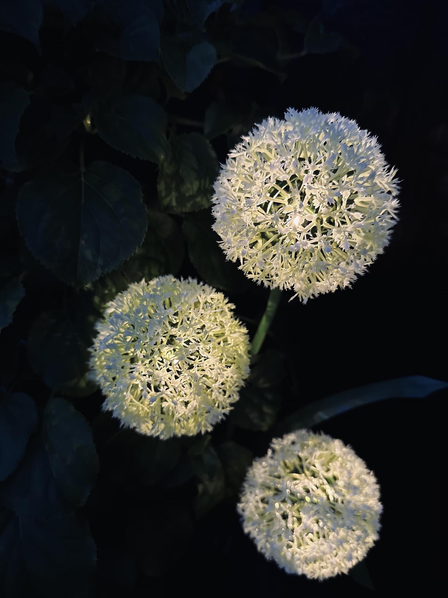 Solar-Gartenstecker Blüte mit 3 Blütenkugeln