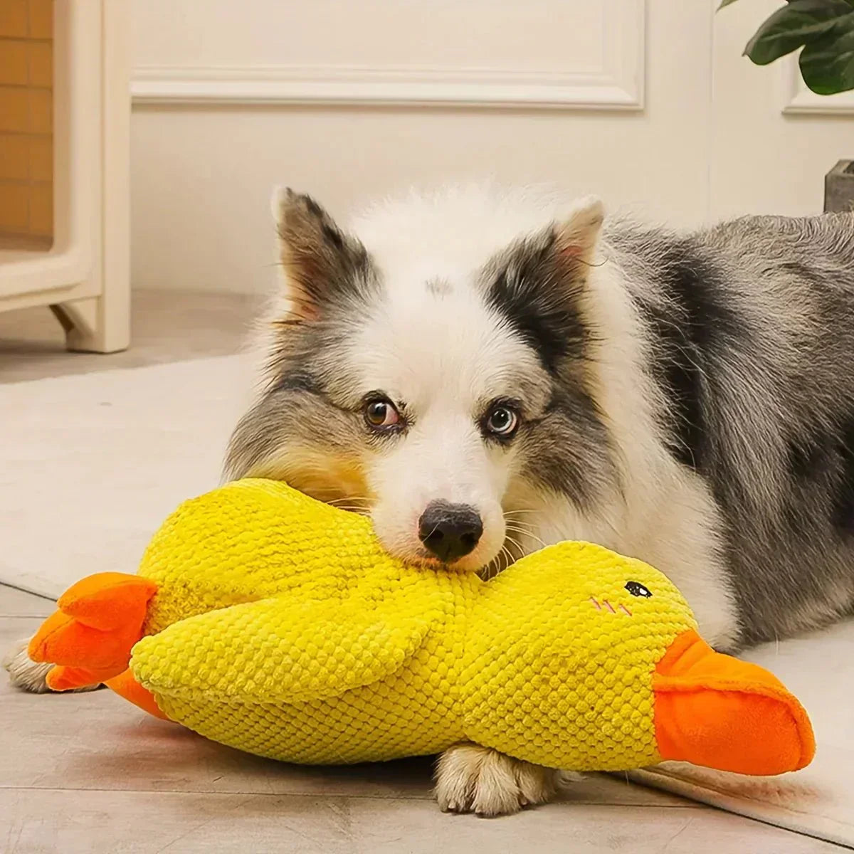 Hundespielzeug Ente mit Quakgeräusch – Interaktiv