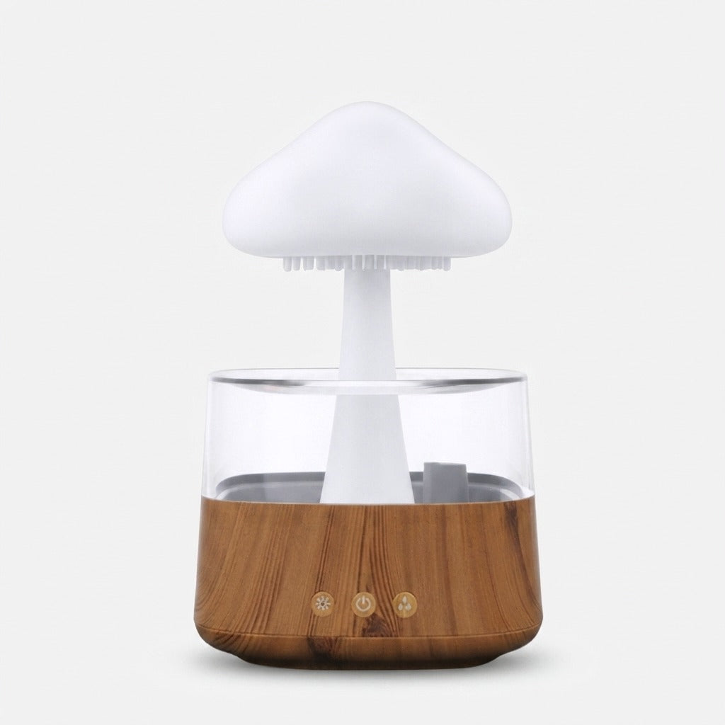 Studio collection image