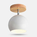 Studio collection image