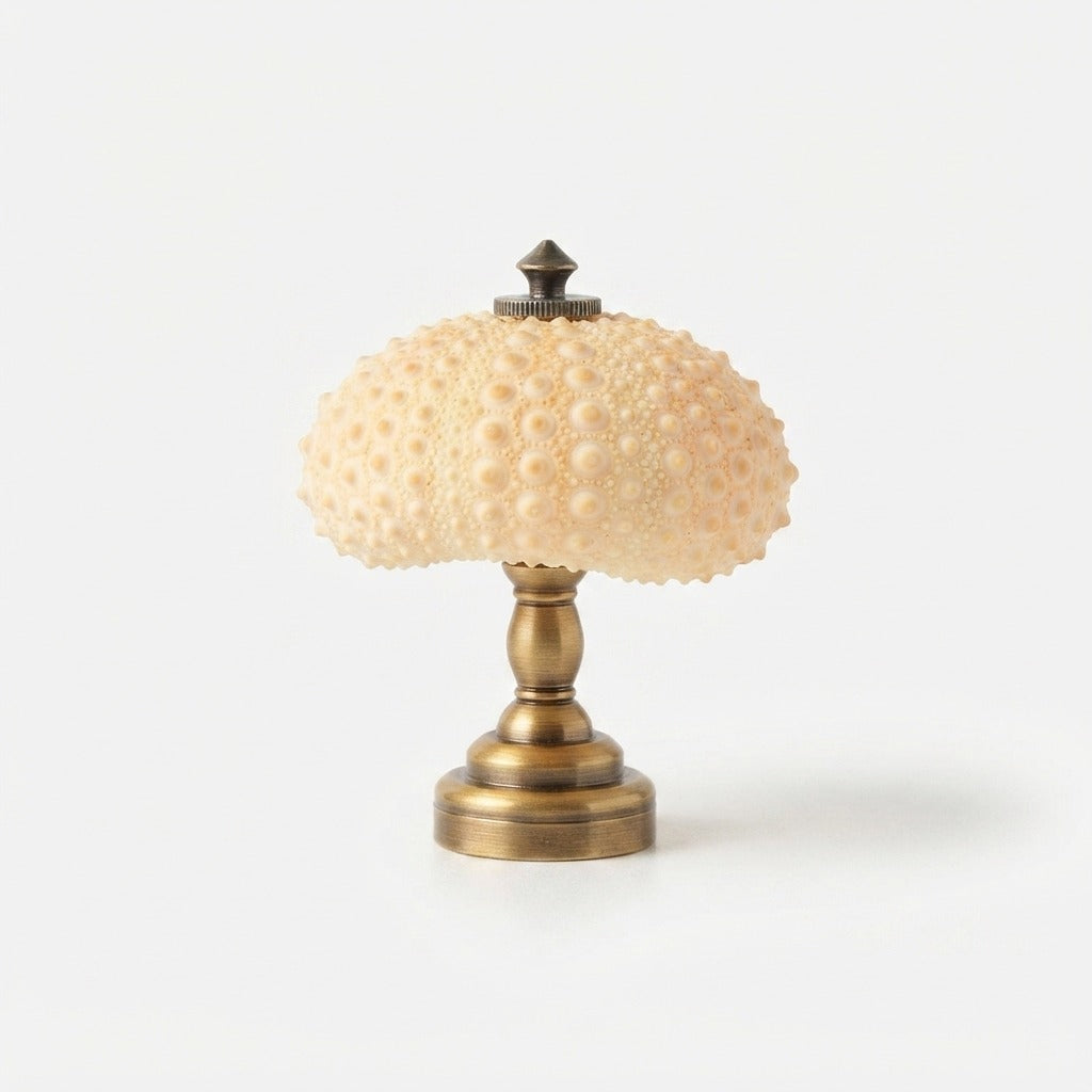 Studio collection image
