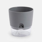 Studio collection image