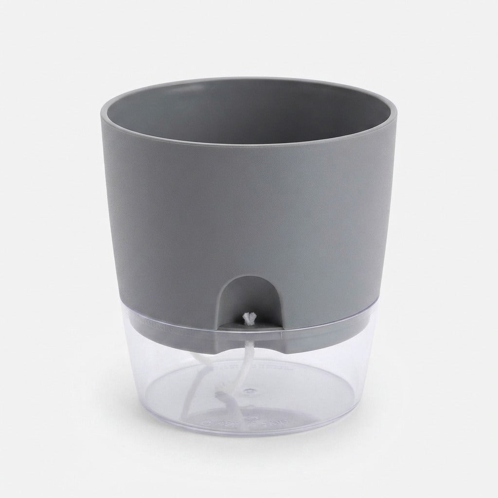 Studio collection image