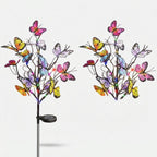Studio collection image