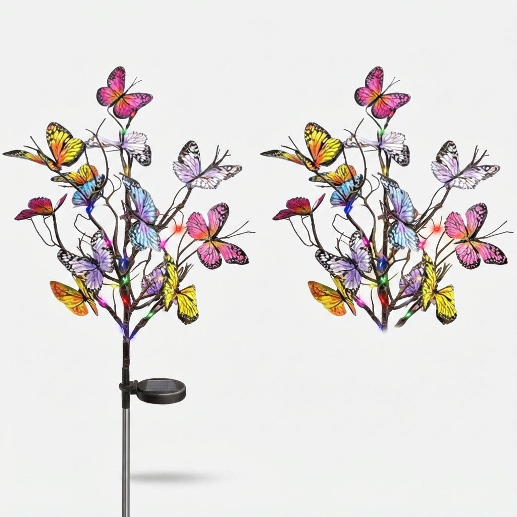 Studio collection image