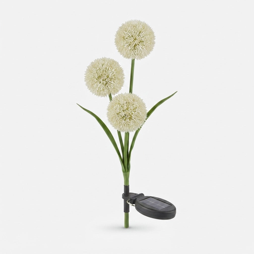 Studio collection image