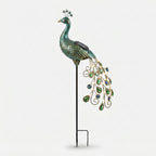 Studio collection image
