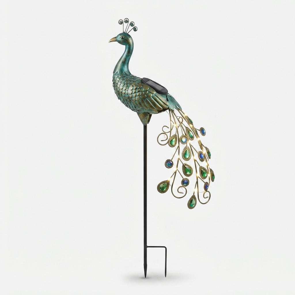 Studio collection image