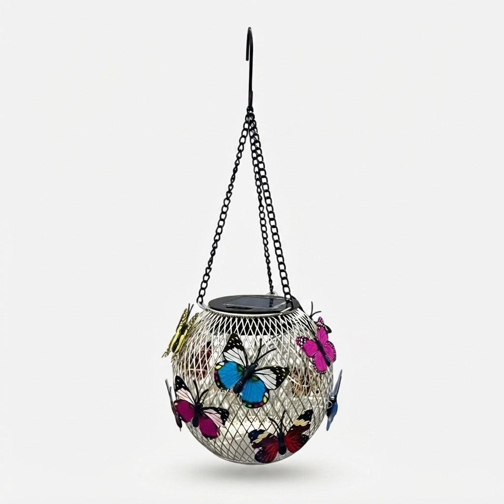 Studio collection image