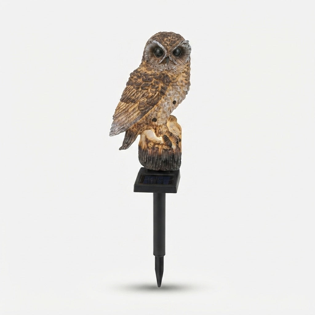 Studio collection image