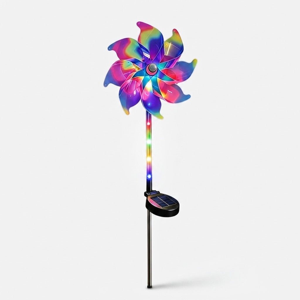 Studio collection image