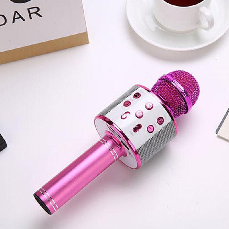 Wireless Karaoke Microphone with Bluetooth Speaker