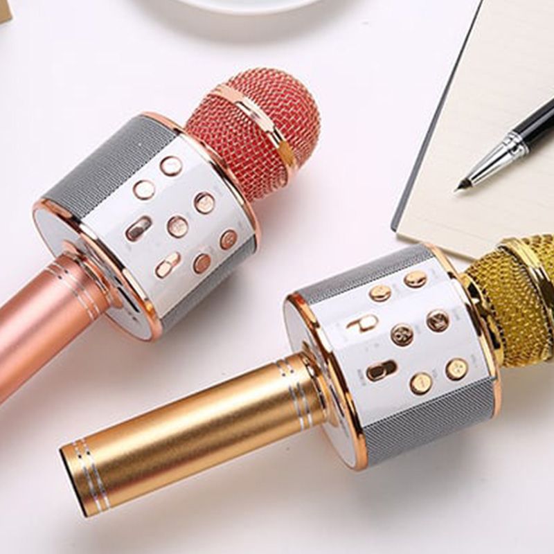 Wireless Karaoke Microphone with Bluetooth Speaker