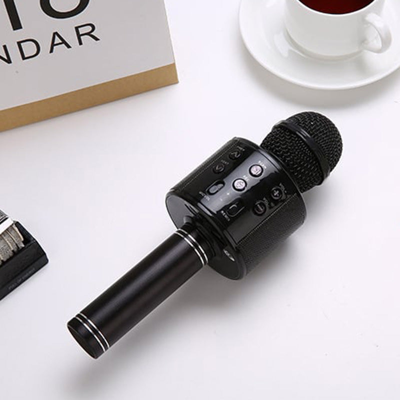 Wireless Karaoke Microphone with Bluetooth Speaker