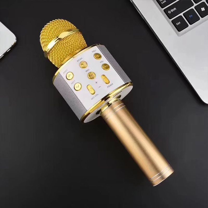 Wireless Karaoke Microphone with Bluetooth Speaker