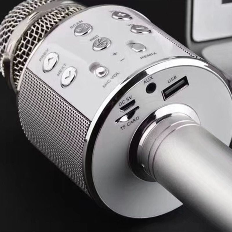 Wireless Karaoke Microphone with Bluetooth Speaker