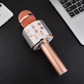 Wireless Karaoke Microphone with Bluetooth Speaker