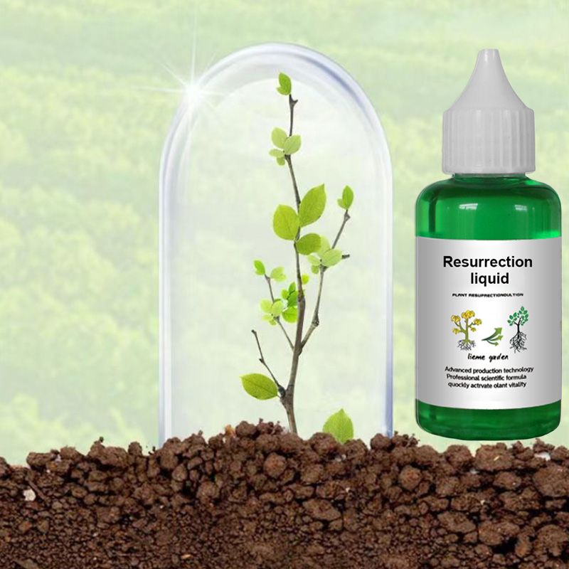 Pflanzen- & Blütenaktivator Flüssig – Stärkere Wurzeln & Mehr Blüten -   Mivoza Deutschland