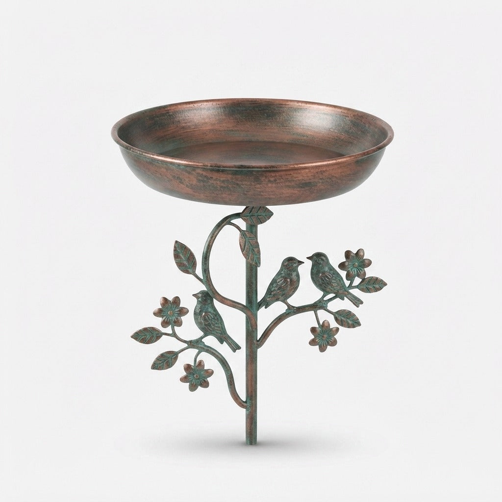Studio collection image