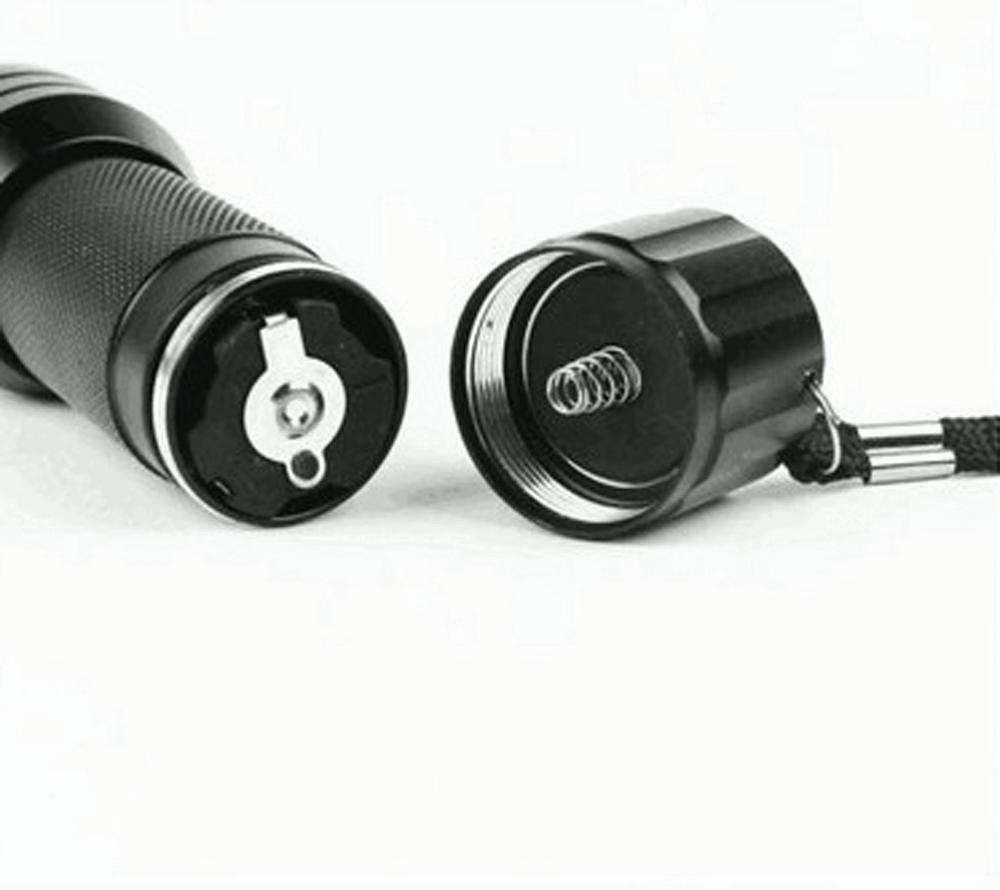 UV flashlight 395nm with LEDs for stain and pest detection