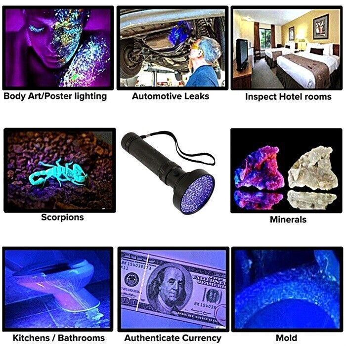 UV flashlight 395nm with LEDs for stain and pest detection