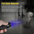 UV flashlight 395nm with LEDs for stain and pest detection