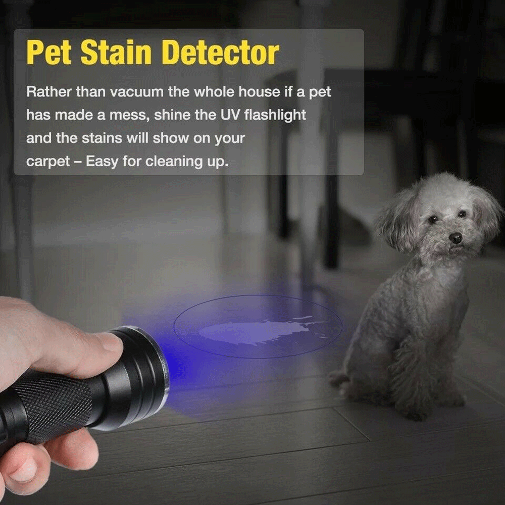 UV flashlight 395nm with LEDs for stain and pest detection