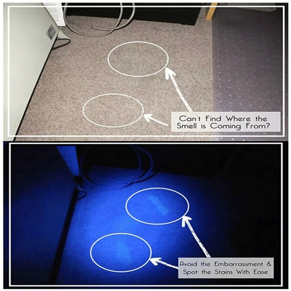 UV flashlight 395nm with LEDs for stain and pest detection
