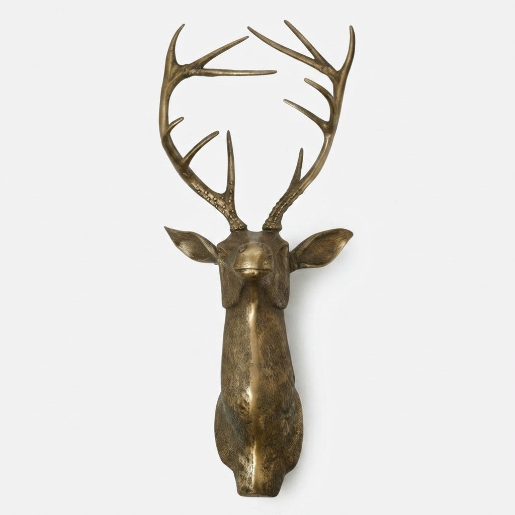 Studio collection image