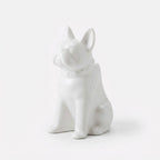 Studio collection image