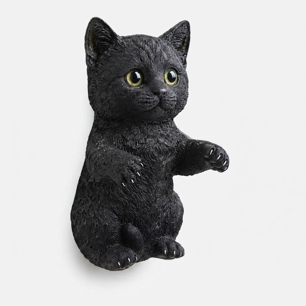 Studio collection image