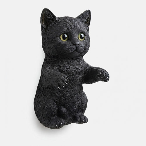 Studio collection image