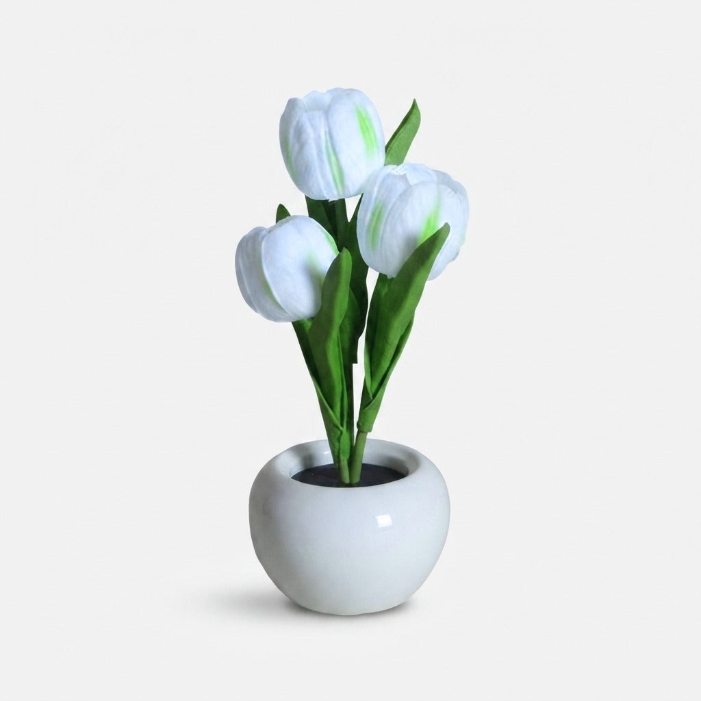 Studio collection image