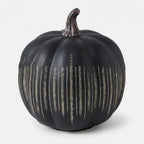 Studio collection image