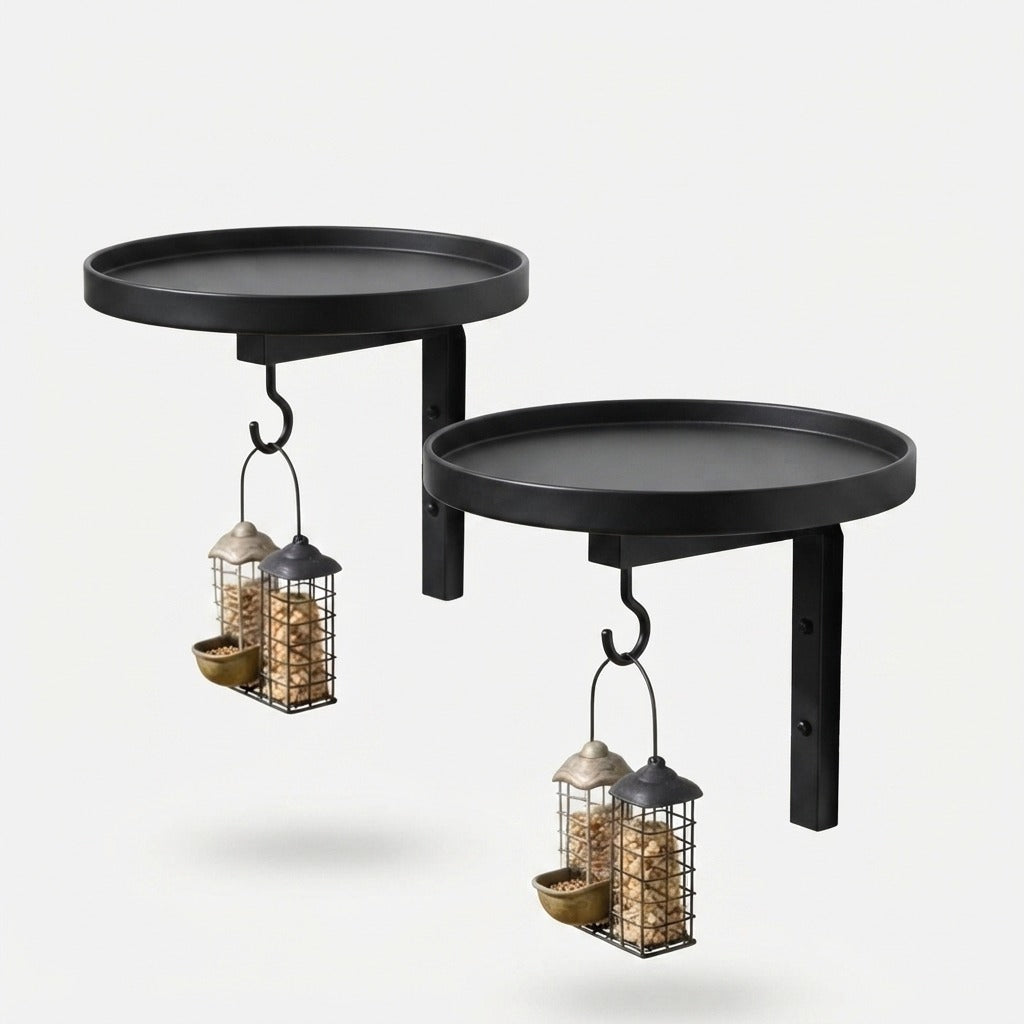 Studio collection image