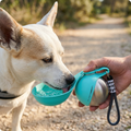 Dog Water Bottle 2-in-1 with Silicone Bowl