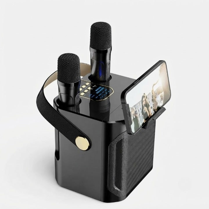 Bluetooth karaoke speaker with 2 microphones