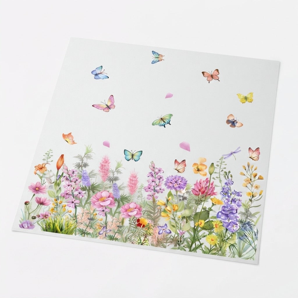 Studio collection image