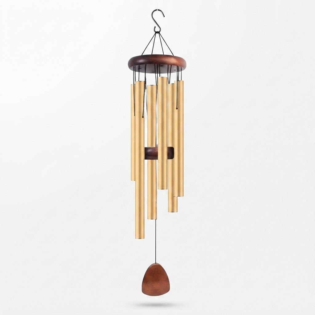 Studio collection image